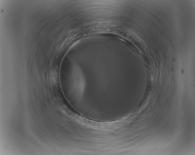 X0000069790035200605221126