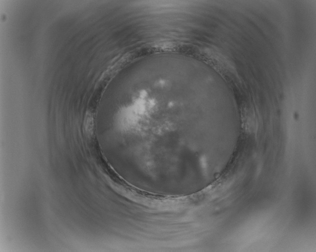 X0000069790036200605221126