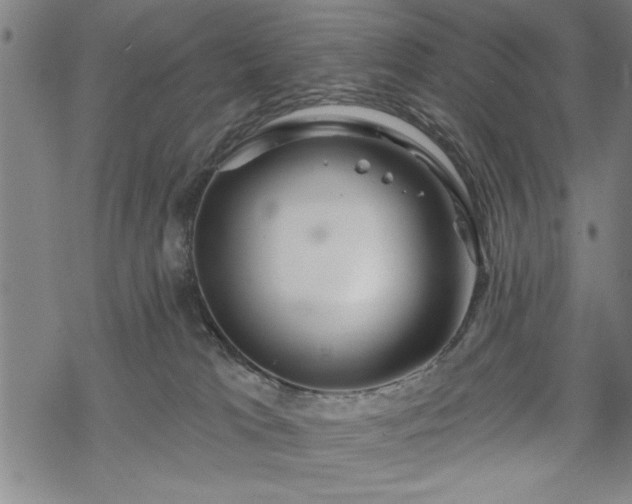 X0000069790037200605221126