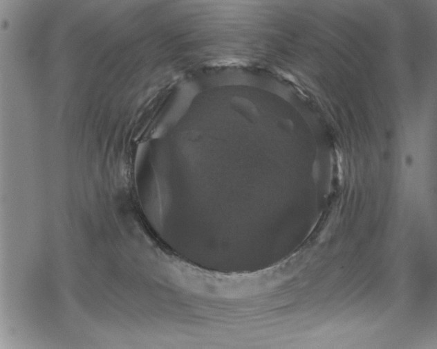 X0000069790039200605221125