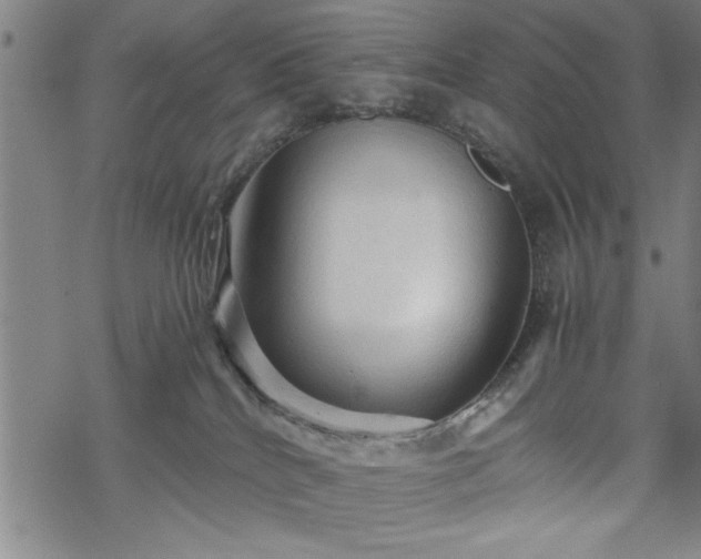 X0000069790040200605221125