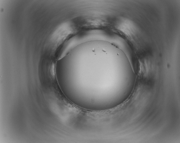 X0000069790041200605221125