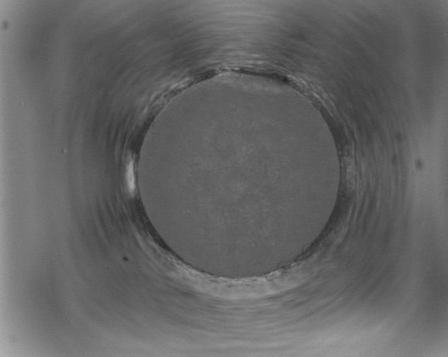 X0000069790042200605221125