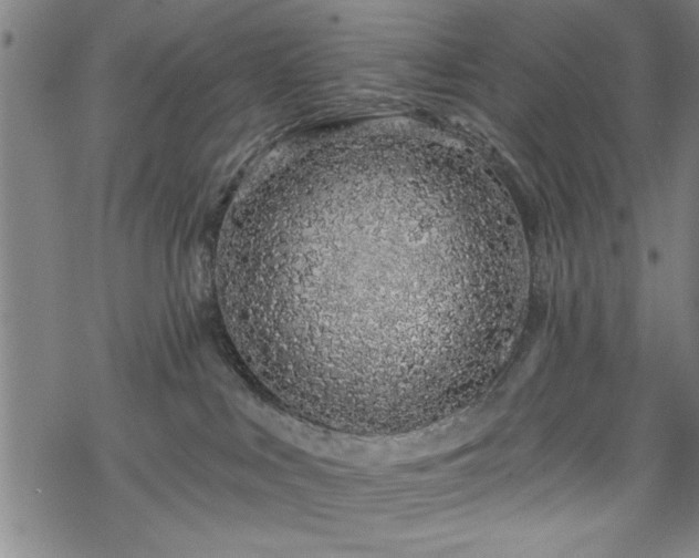 X0000069790043200605221125