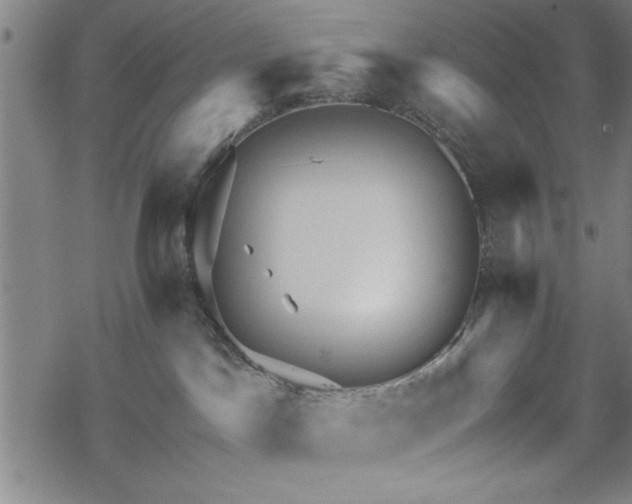 X0000069790045200605221125