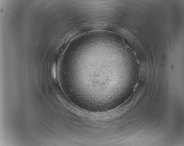 X0000069790046200605221125