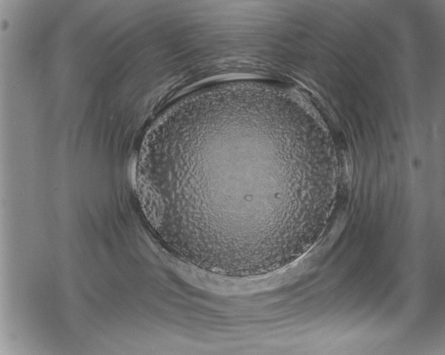 X0000069790047200605221125