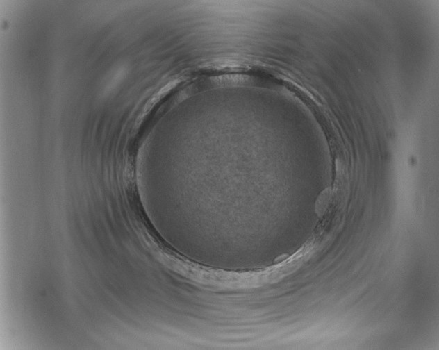 X0000069790048200605221125