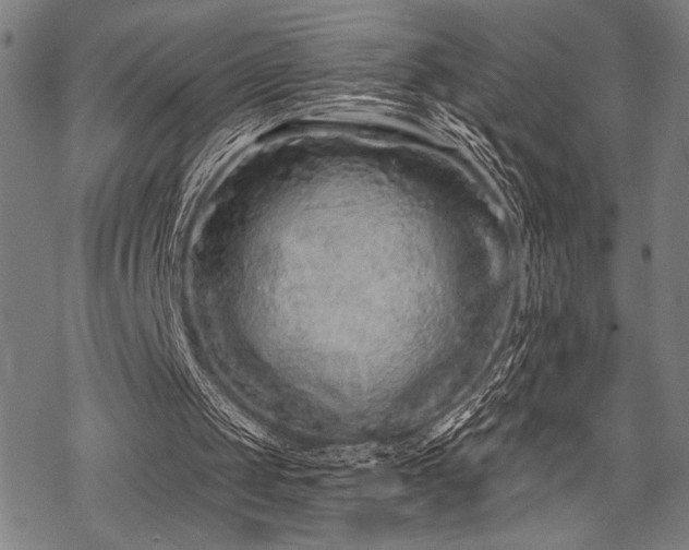 X0000069790049200605221125