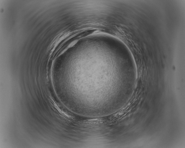 X0000069790050200605221125