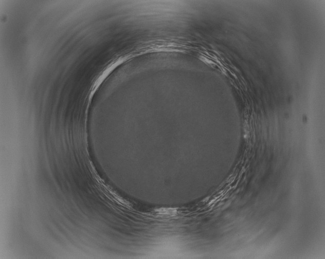 X0000069790052200605221125