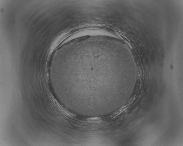 X0000069790053200605221125