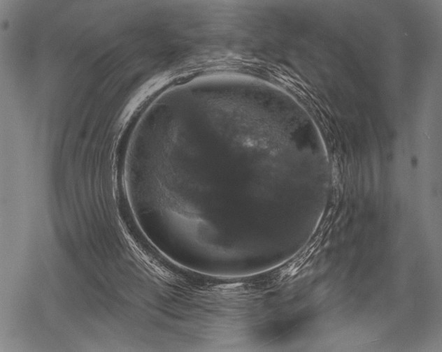 X0000069790054200605221125