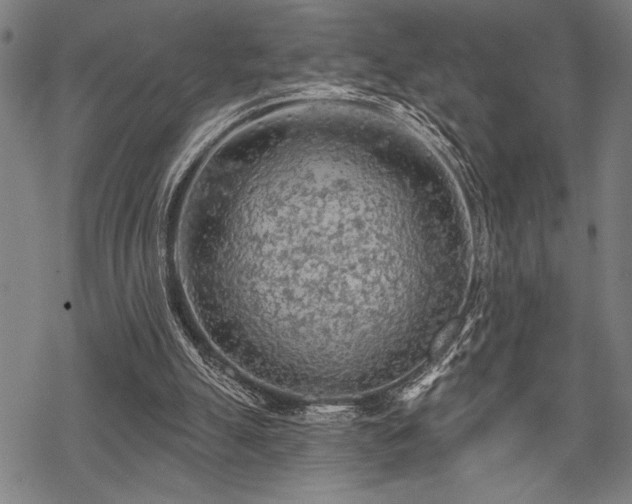 X0000069790055200605221125