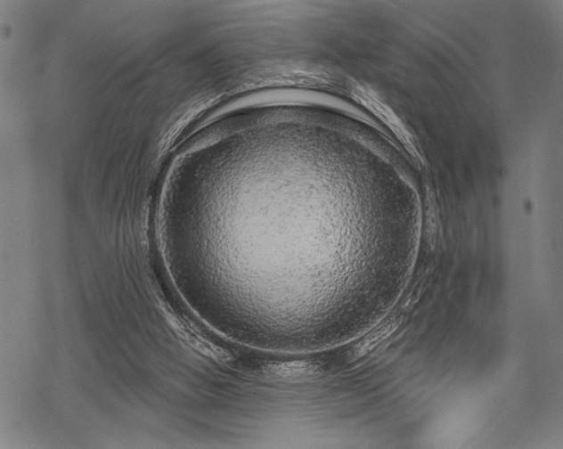 X0000069790058200605221125