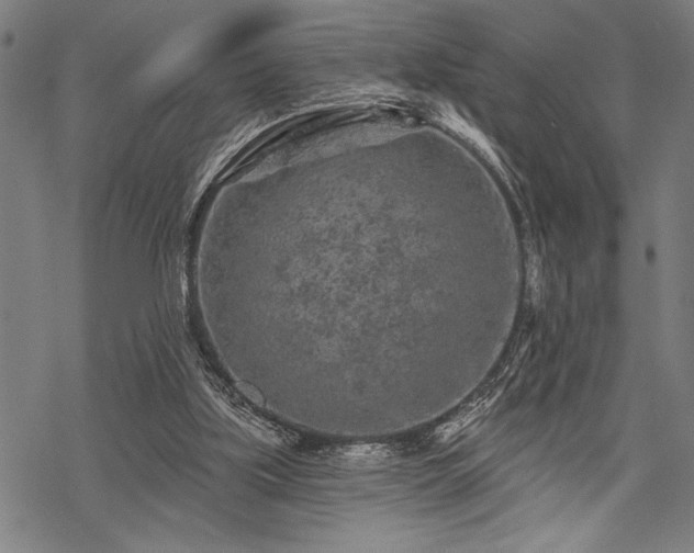 X0000069790059200605221125