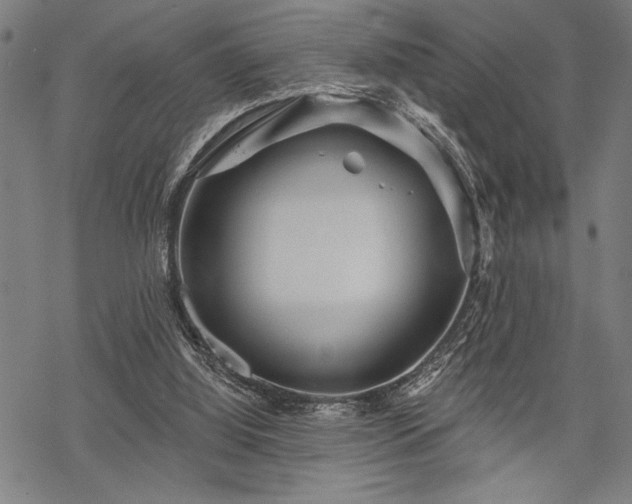 X0000069790060200605221125