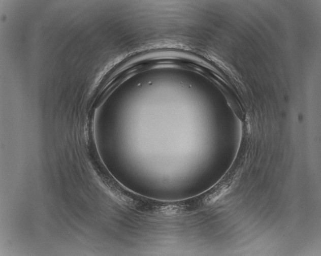 X0000069790064200605221125