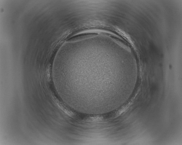 X0000069790065200605221125