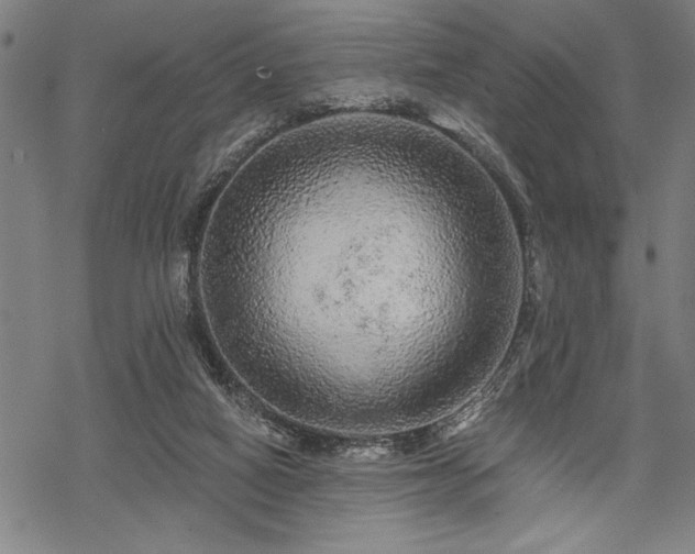 X0000069790066200605221125