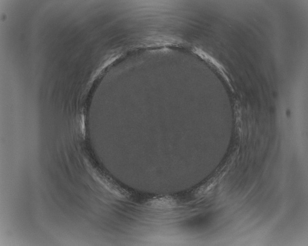 X0000069790067200605221125