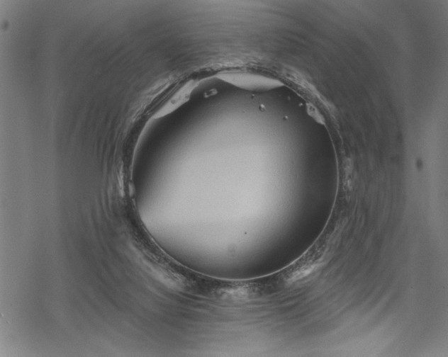 X0000069790068200605221125