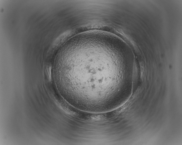 X0000069790070200605221125