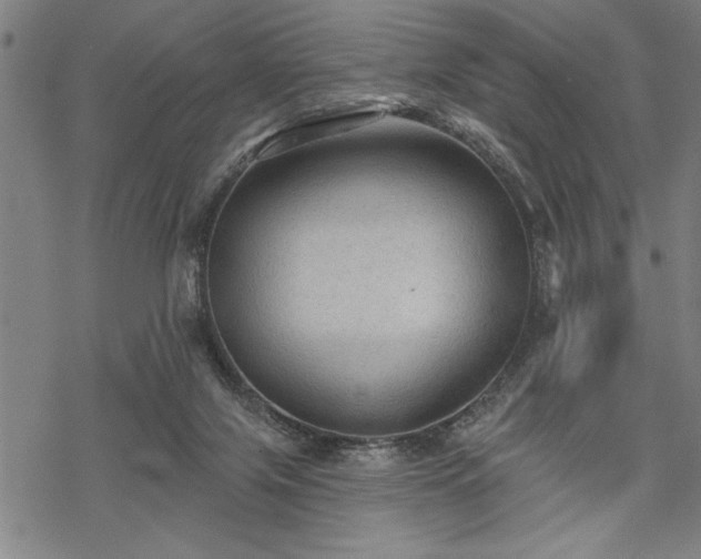 X0000069790071200605221125