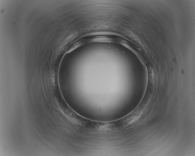 X0000069790072200605221125