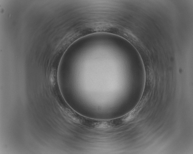 X0000069790074200605221125