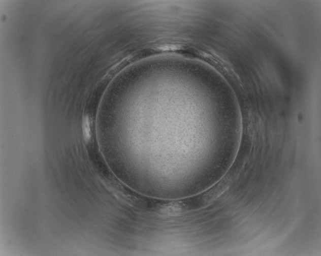 X0000069790075200605221125