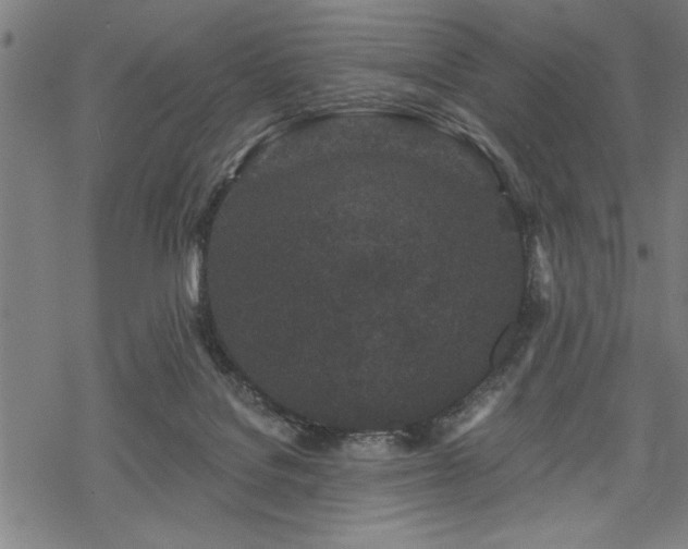 X0000069790076200605221125