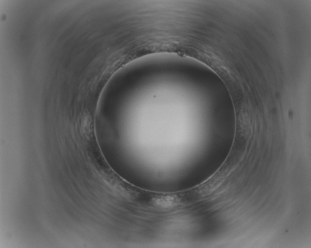 X0000069790079200605221125