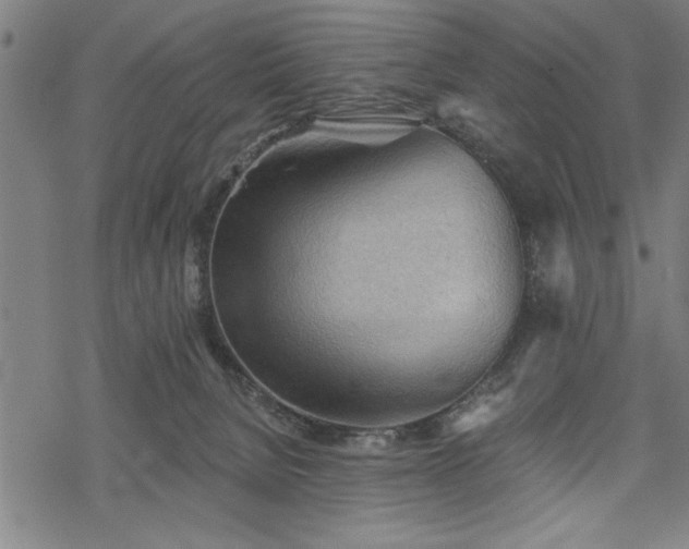 X0000069790080200605221125