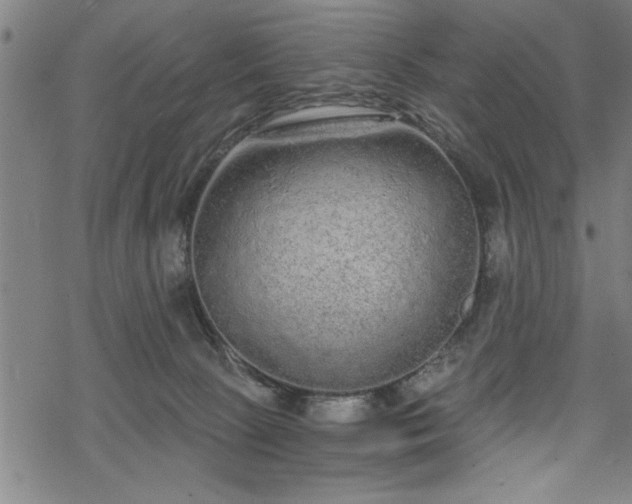 X0000069790081200605221125