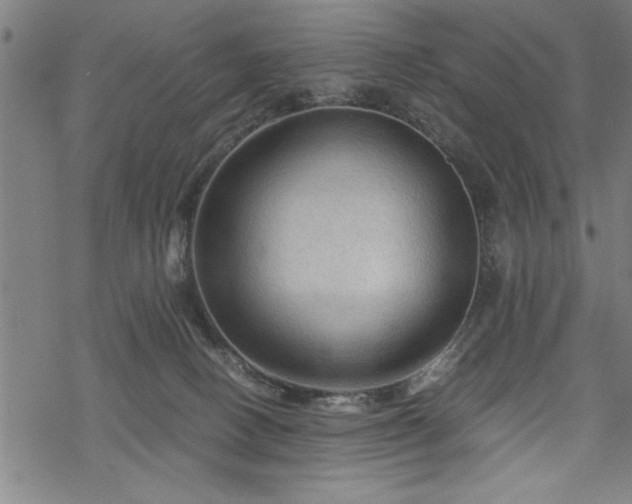 X0000069790082200605221125