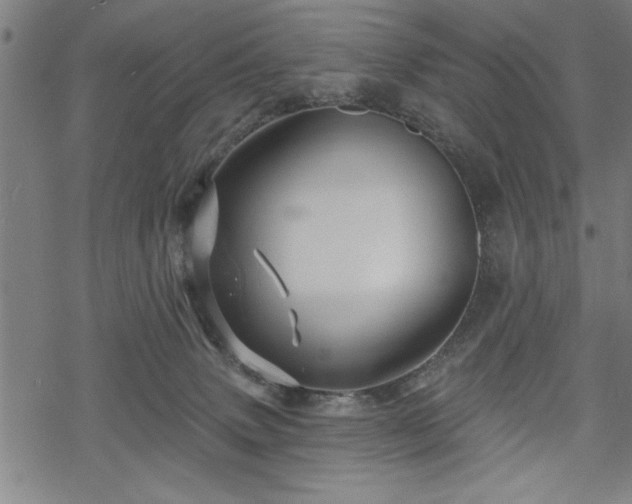 X0000069790083200605221125