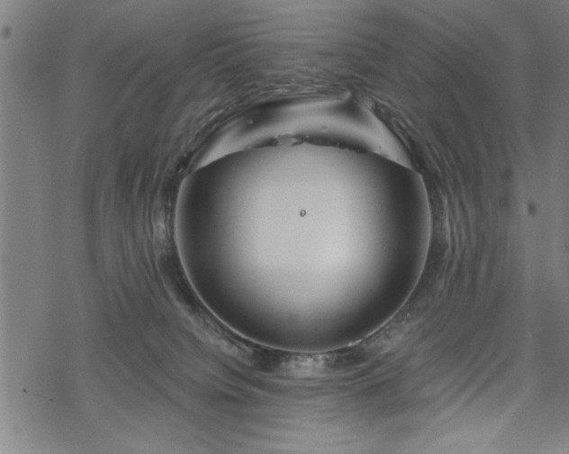 X0000069790084200605221125