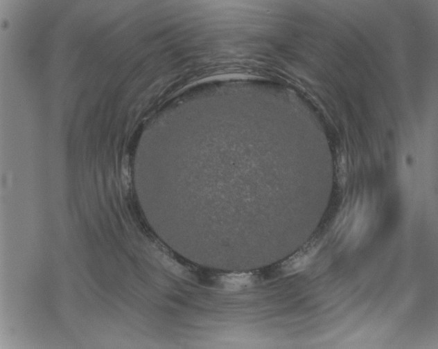 X0000069790085200605221125