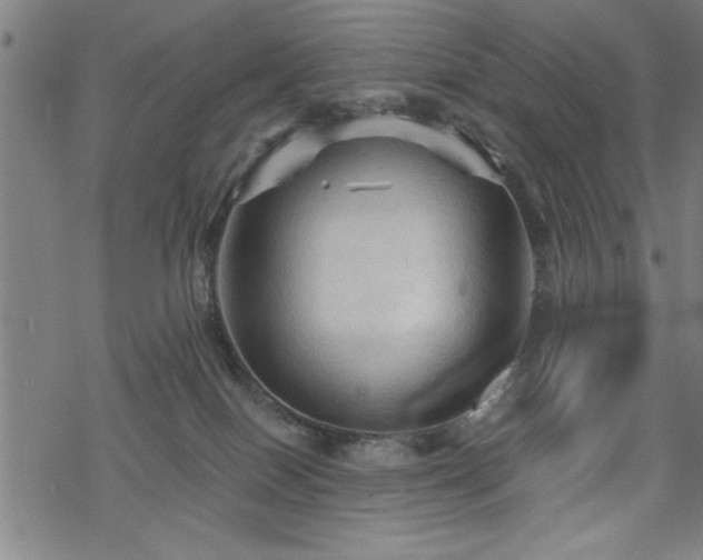 X0000069790086200605221125