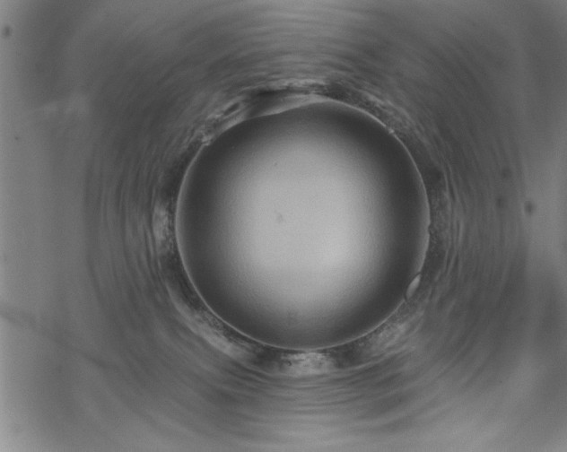 X0000069790087200605221125