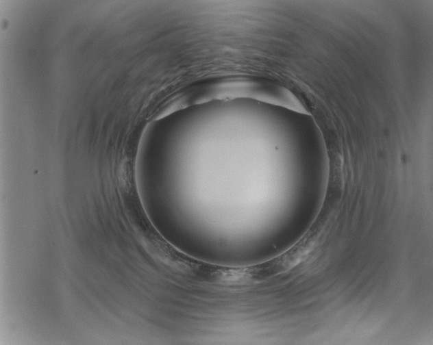 X0000069790088200605221125