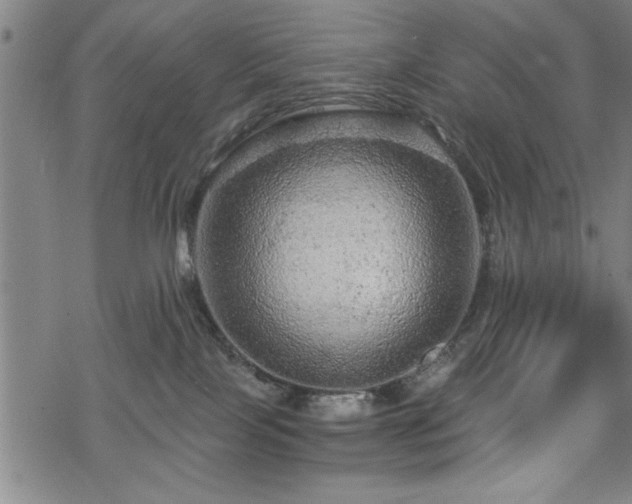 X0000069790089200605221125