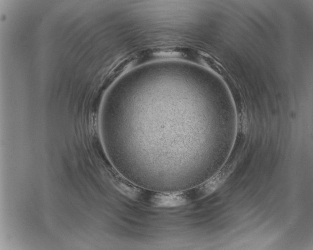 X0000069790093200605221125