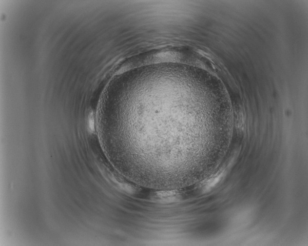 X0000069790095200605221125