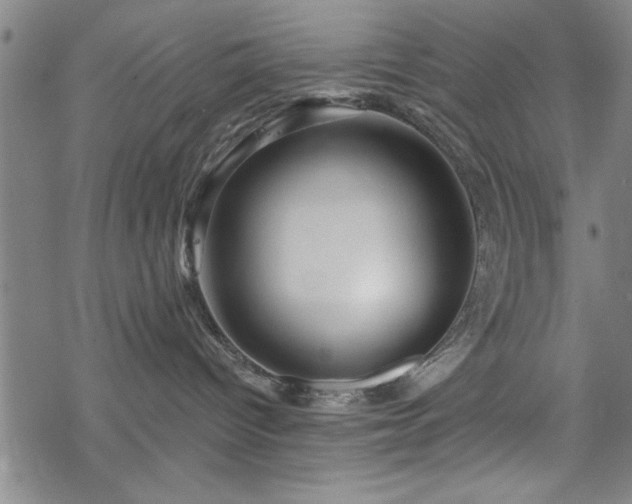 X0000069790096200605221125