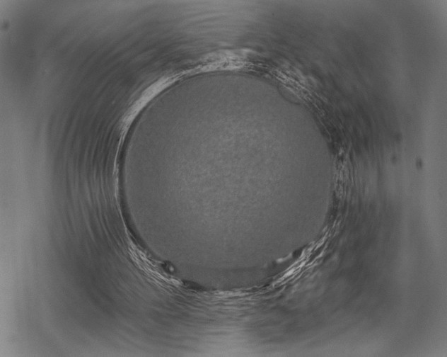 X0000069790100200605221125