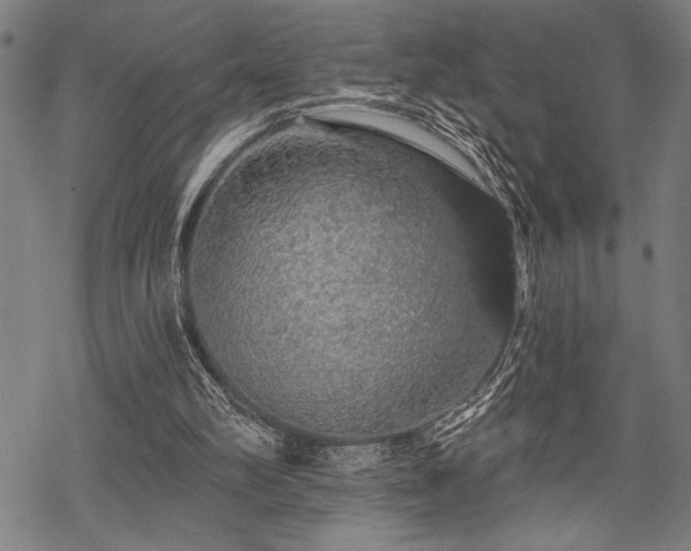 X0000069790102200605221124