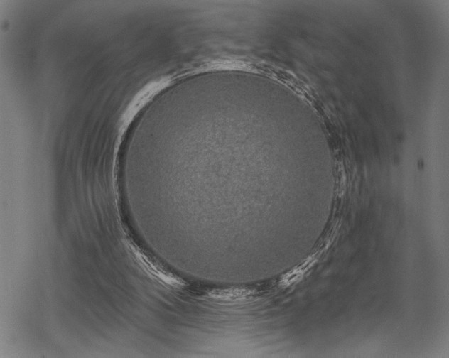 X0000069790104200605221124