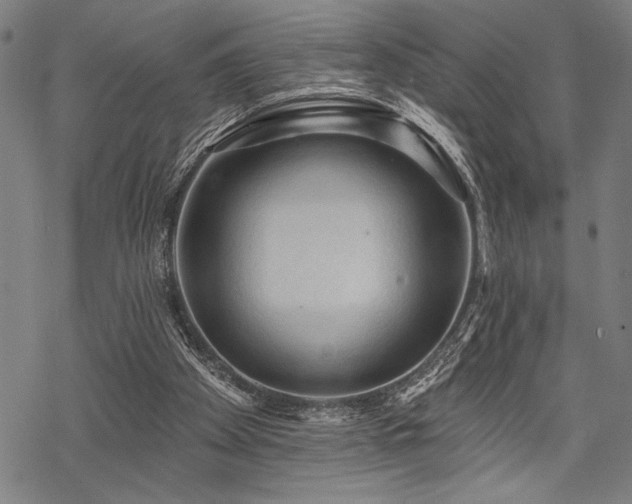 X0000069790105200605221124